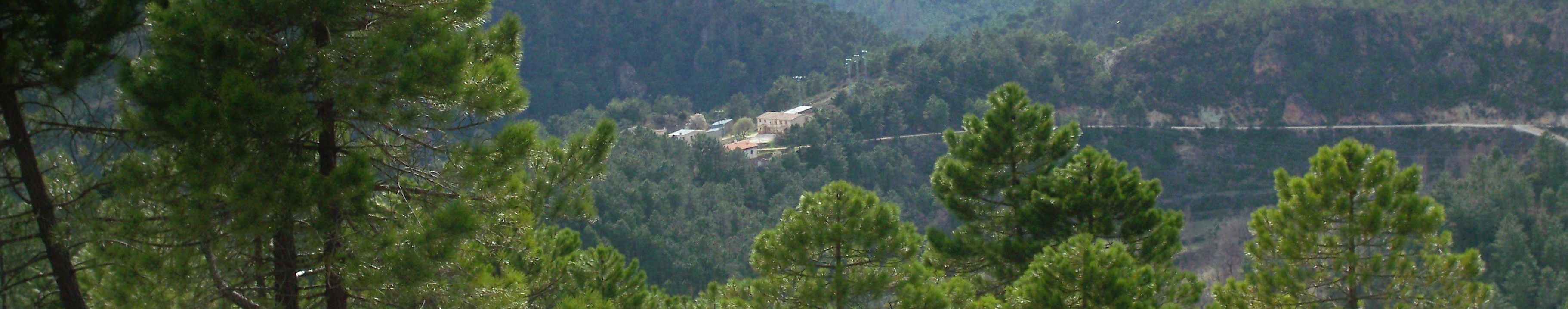 EL QUEJIGAL